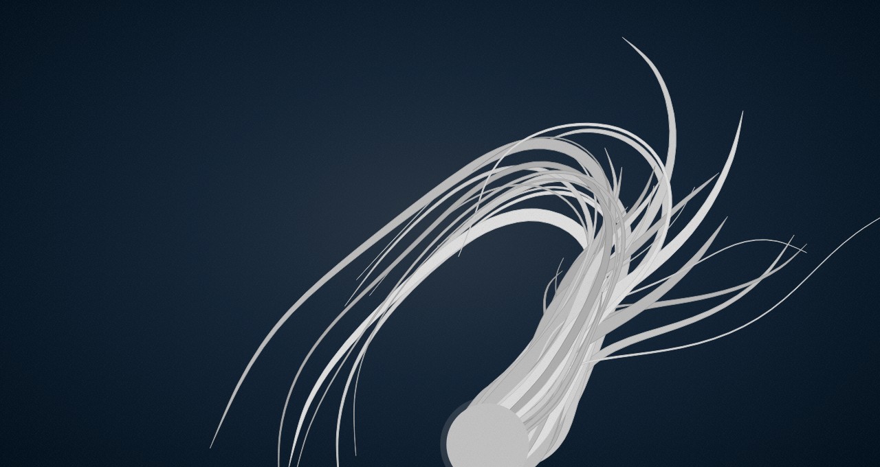 soulwire/Muscular-Hydrostats